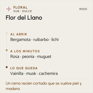 Difusor Reed XL Flor del Llano