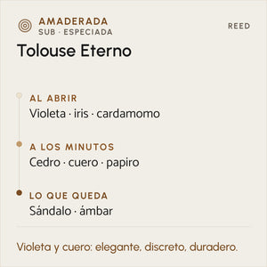 Difusor Reed XL Tolouse Eterno